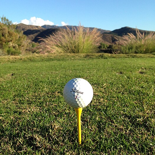 What brings us all together.  It's time to tee...