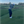 Tiger W